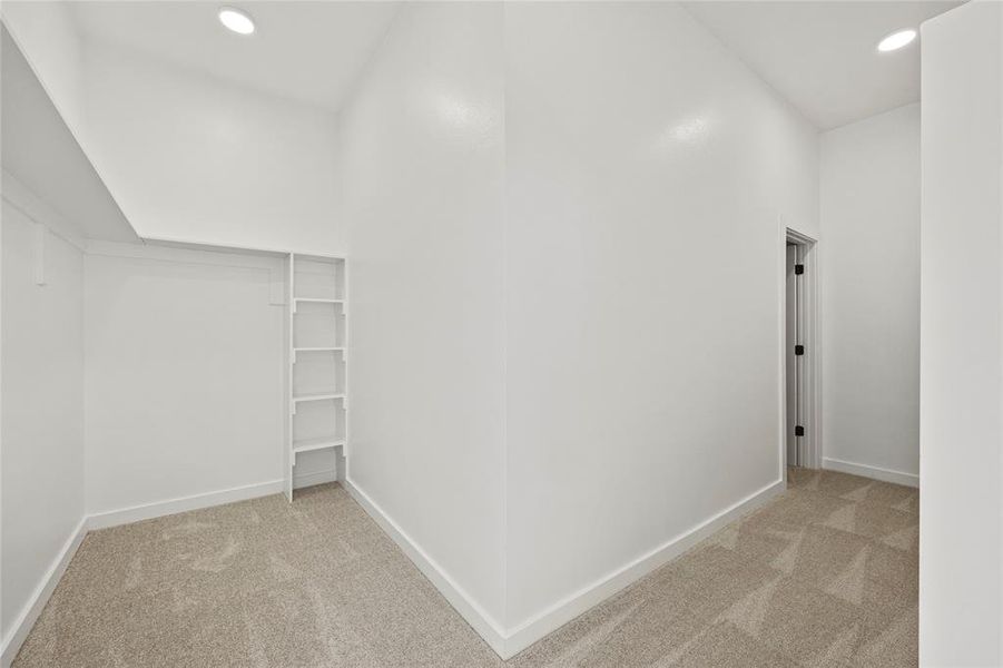 Spacious closet featuring light colored carpet