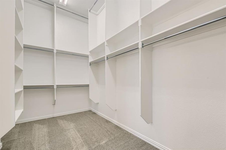 Spacious closet with carpet