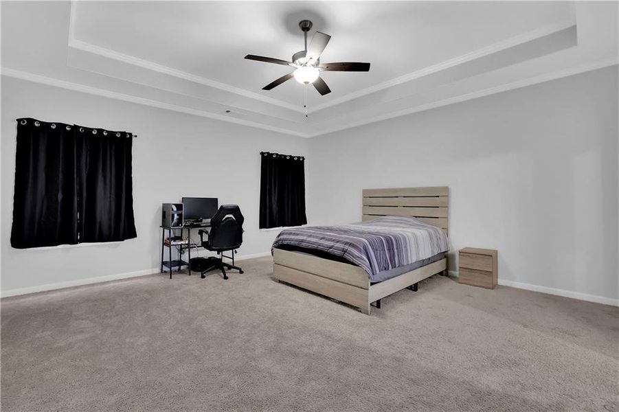 Bedroom with ceiling fan, a tray ceiling, and crown molding