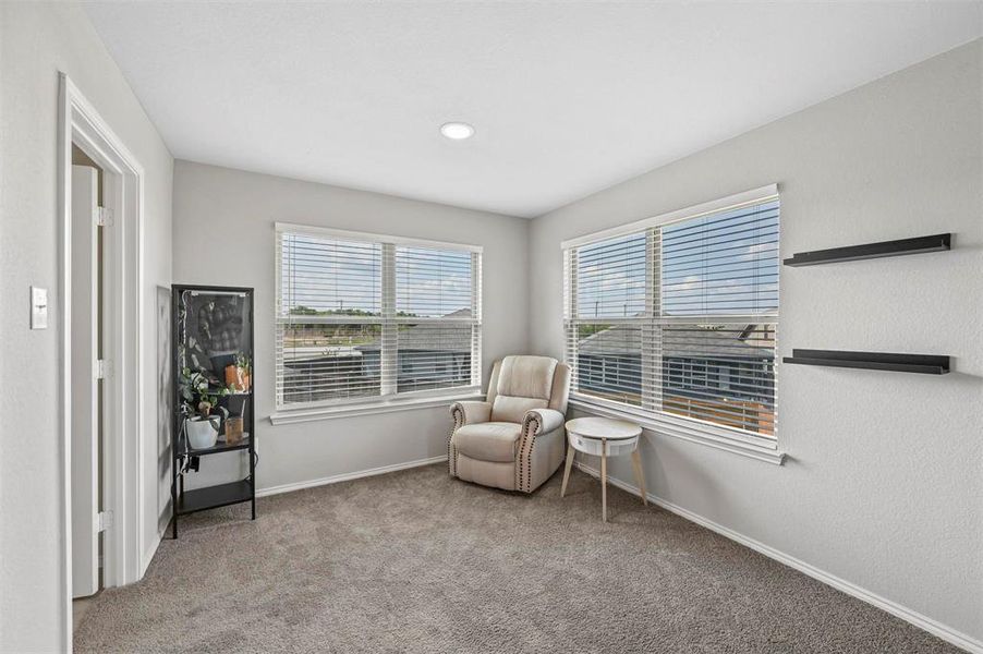 Living area with light colored carpet