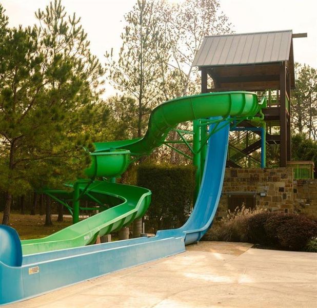 Forest Island-Freeform Amenity Pool Water Slides