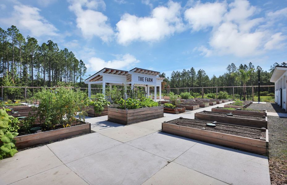 Community Garden