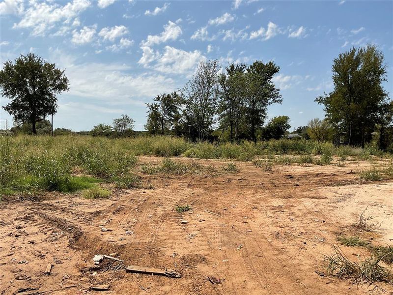 View of local wilderness featuring a rural view