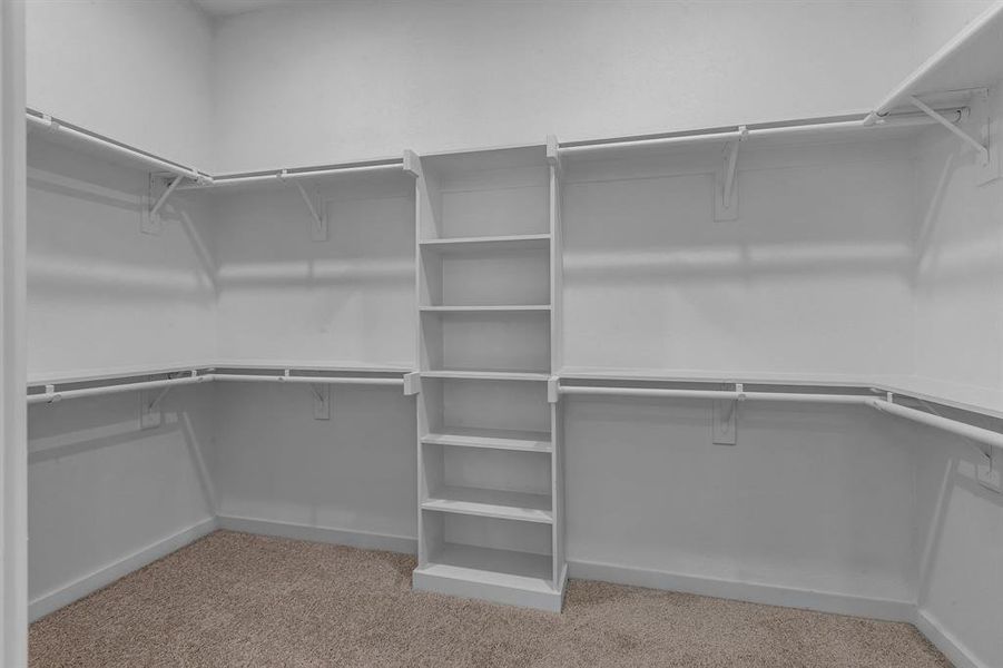 Walk in closet with light carpet