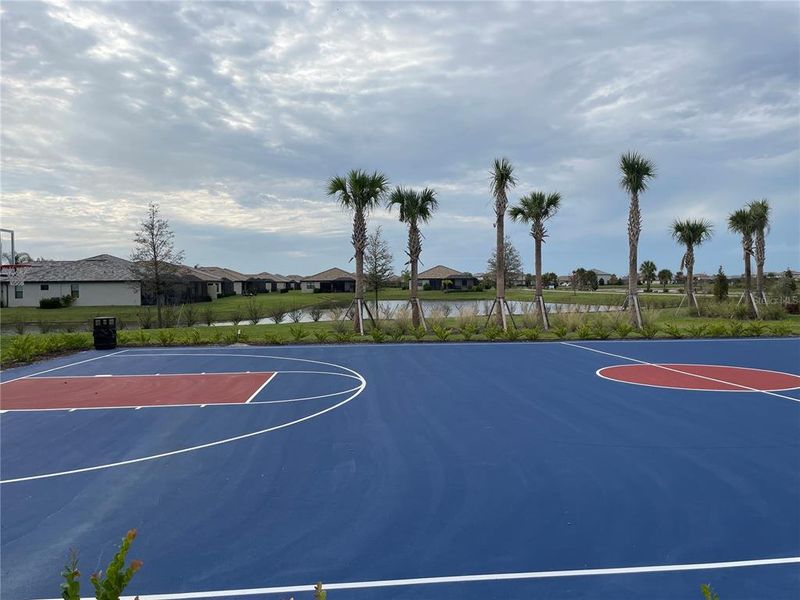 Basketball court