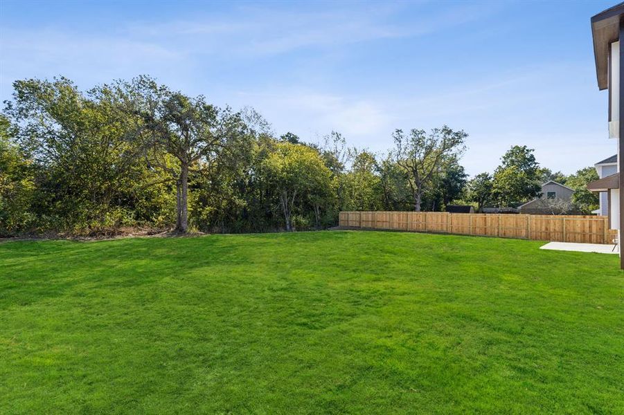 Back of property lined with trees