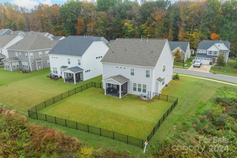 Fenced Back Yard