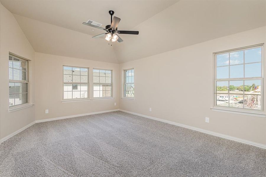 Spare room featuring lofted ceiling, a healthy amount of sunlight, and carpet