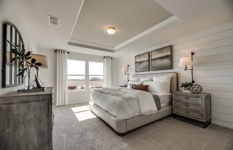 Spacious owner's suite with tray ceiling and large windows