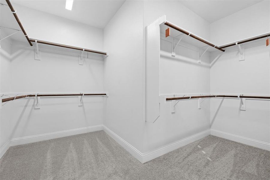 Walk in closet with carpet