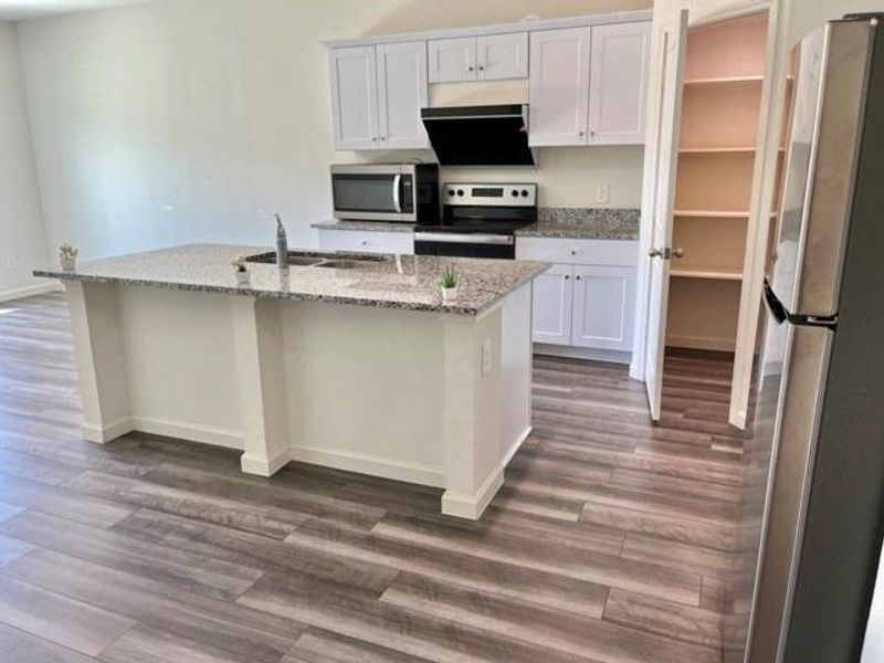 Kitchen with ventilation hood, dark wood-type flooring, stainless steel appliances, and white cabinets