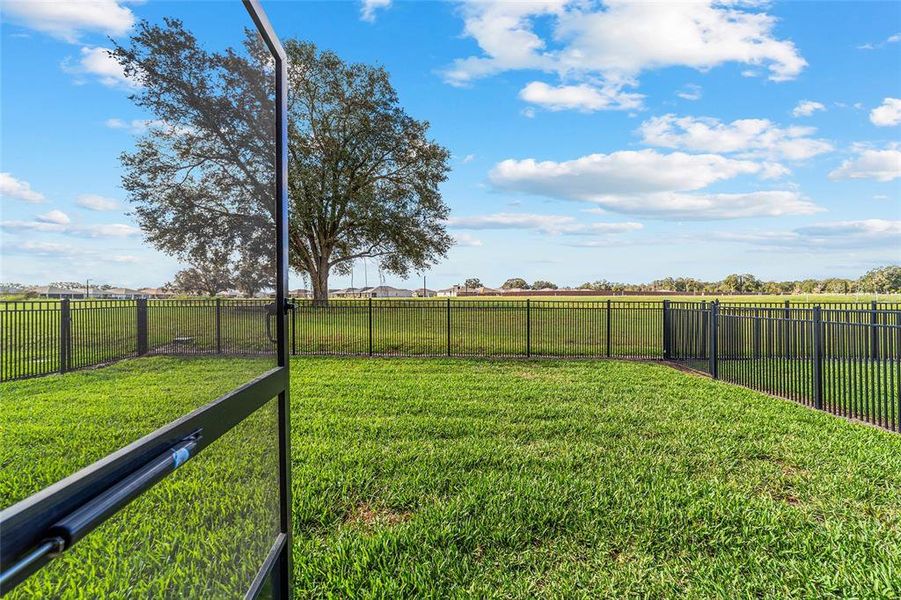 Fully fenced back yard