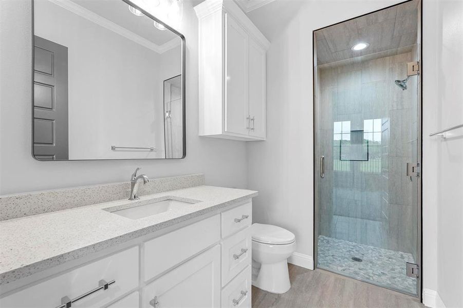 Bathroom featuring ornamental molding, a shower with shower door, hardwood / wood-style flooring, vanity, and toilet