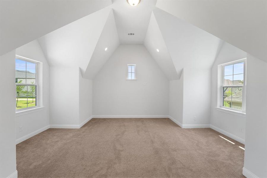 Additional living space featuring carpet and lofted ceiling