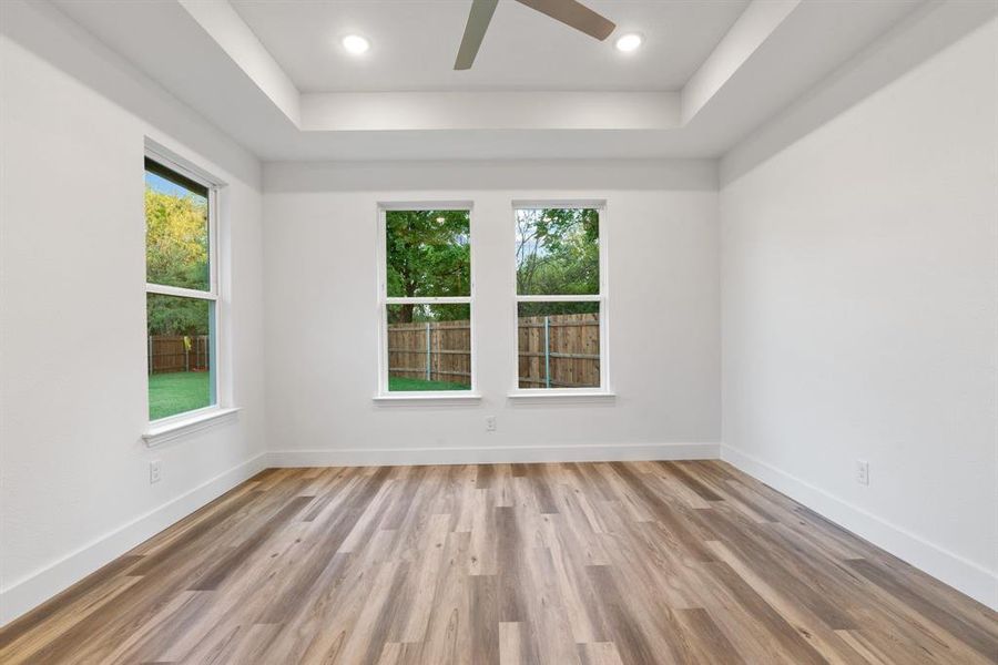 Unfurnished room featuring a tray ceiling, light hardwood / wood-style floors, and a wealth of natural light