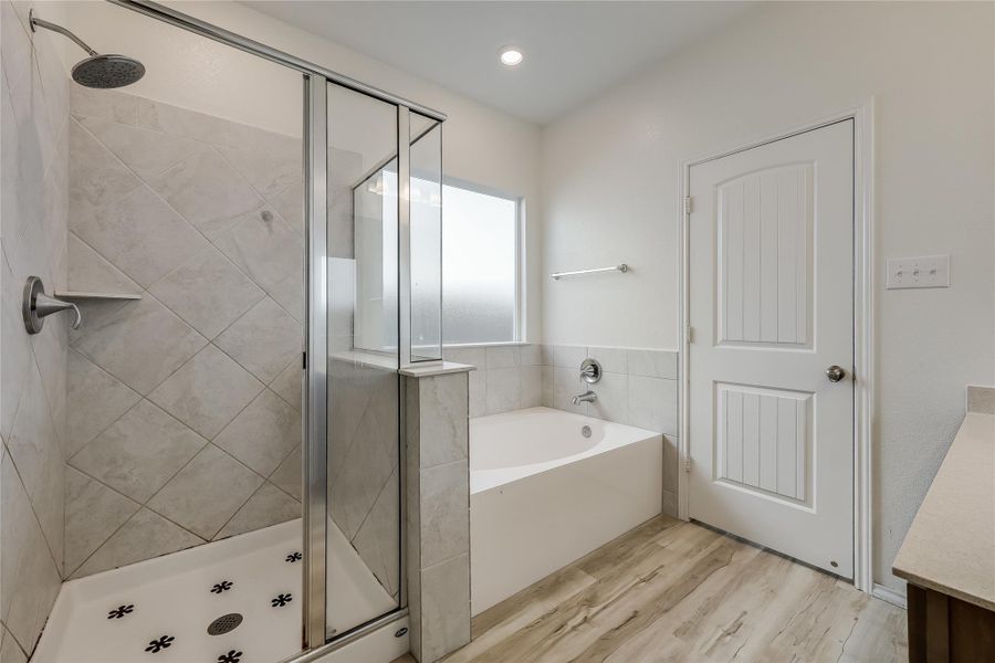 Stand Up Shower and Garden Tub