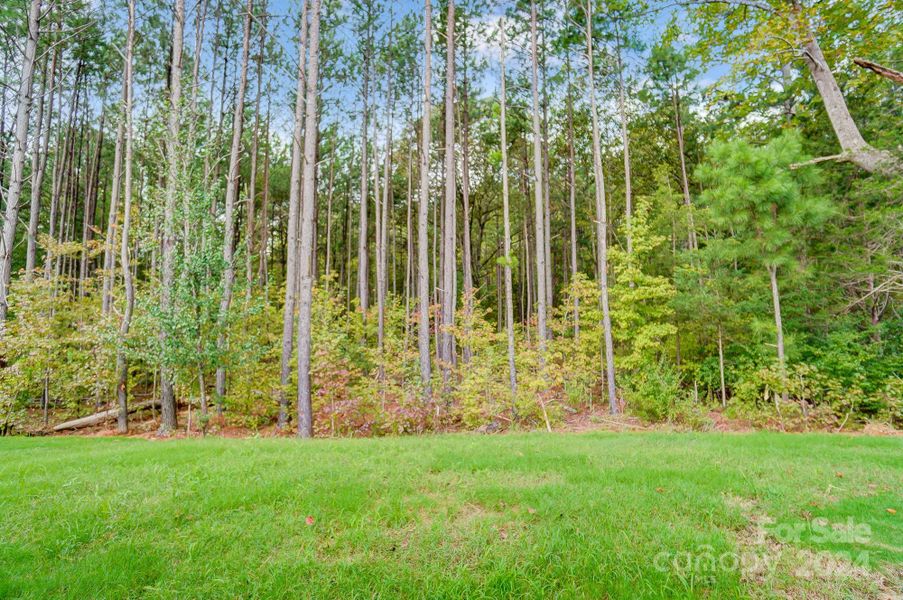 Wooded Homesite