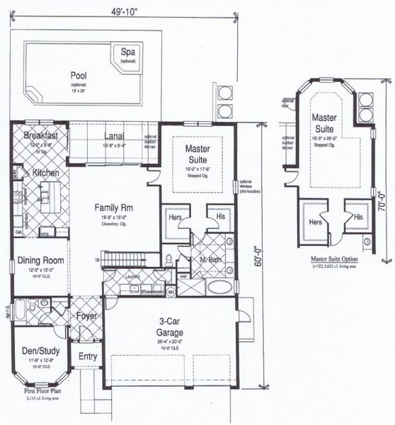 New construction Single-Family house South Hampton, 12805 Eagles Entry Drive, Odessa, FL 33556 - photo
