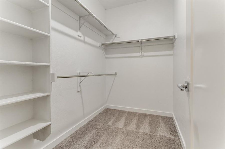 Walk in closet featuring carpet floors