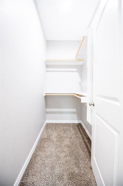 Spacious closet with carpet
