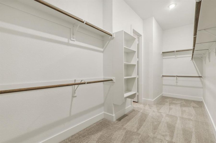 Spacious closet featuring light carpet