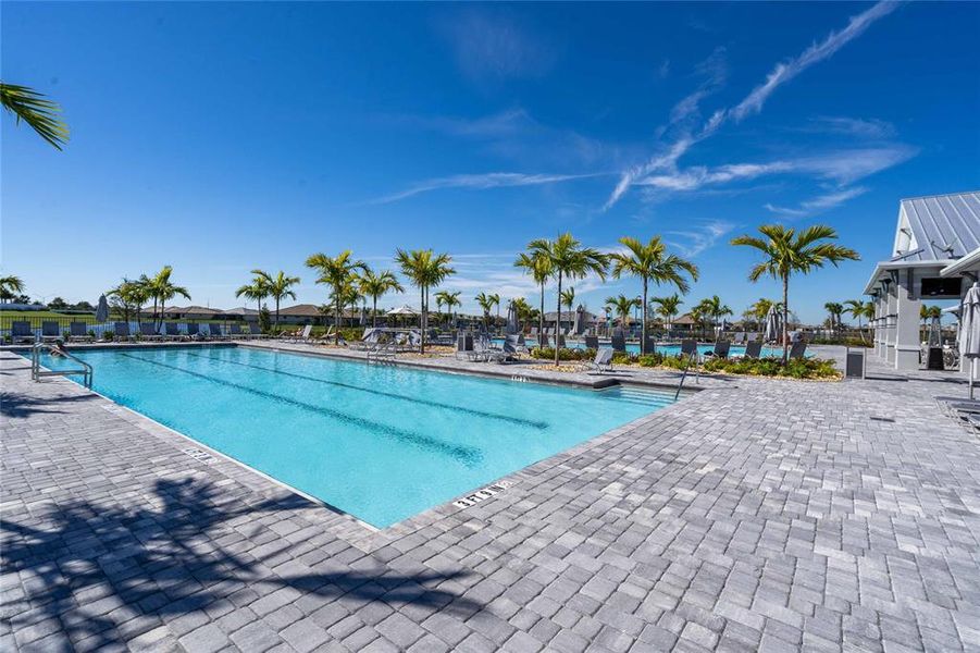 Amenity Center lap pool