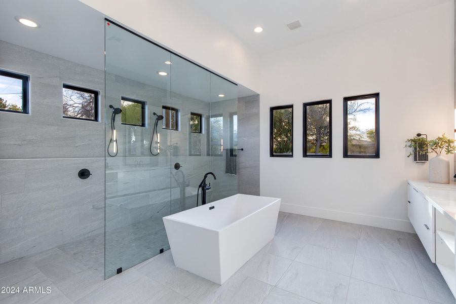 Master Soaker Tub & Walk In Shower