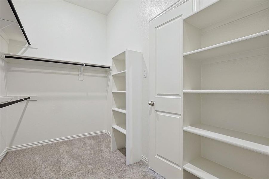 Spacious closet featuring light colored carpet