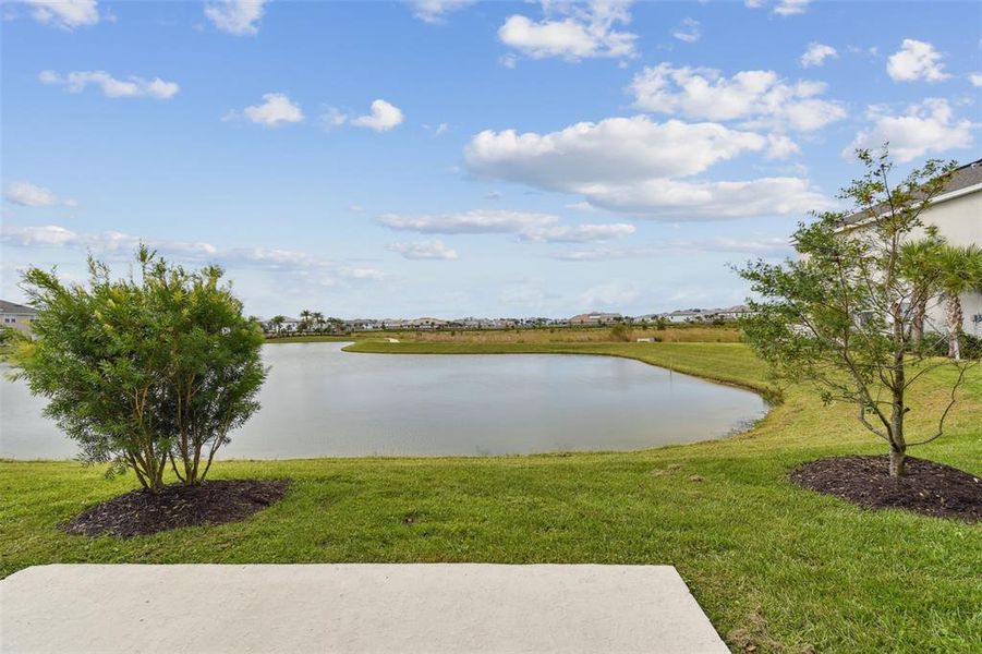 Patio View of Pond