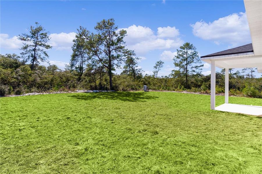 View across back yard from southwest corner of the house