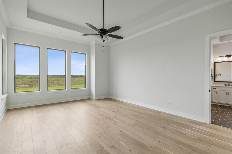 Unfurnished room featuring ornamental molding, light hardwood / wood-style flooring, a tray ceiling, and ceiling fan