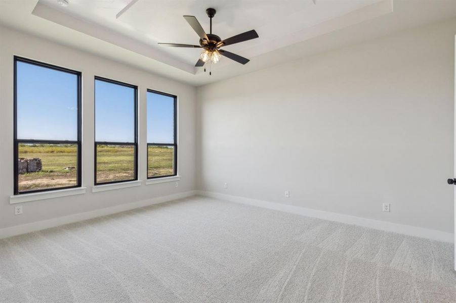 Unfurnished room featuring ceiling fan, carpet, and a raised ceiling