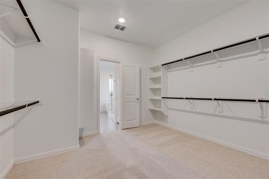 Walk in closet with light carpet