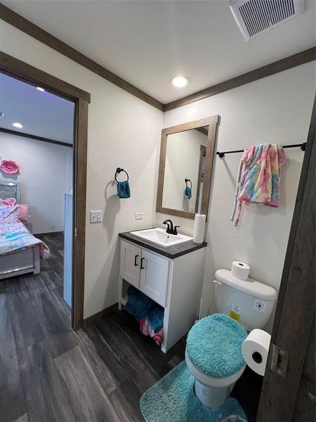 Bathroom with vanity, toilet, hardwood / wood-style flooring, and crown molding