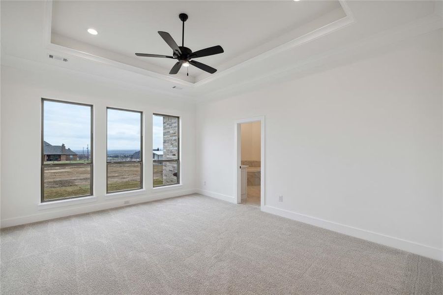 Carpeted spare room featuring ornamental molding, a raised ceiling, and ceiling fan