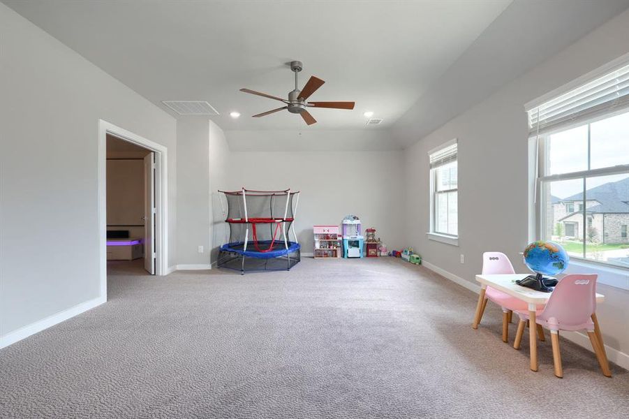 Recreation room featuring a healthy amount of sunlight, carpet, and ceiling fan