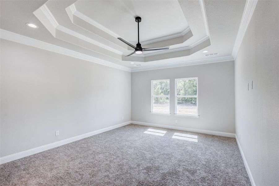 Carpeted Master room with crown molding, ceiling fan, and a double tray ceiling