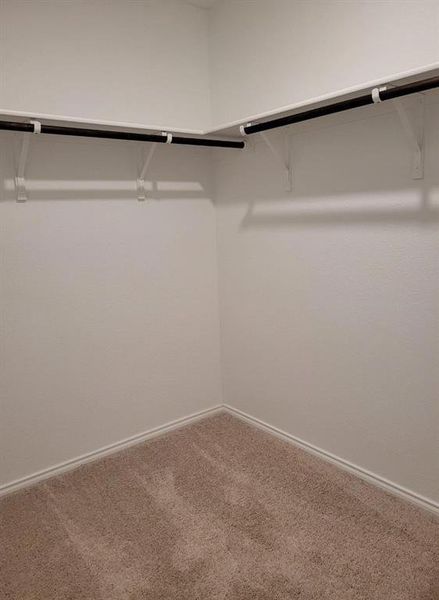 Walk in closet featuring carpet