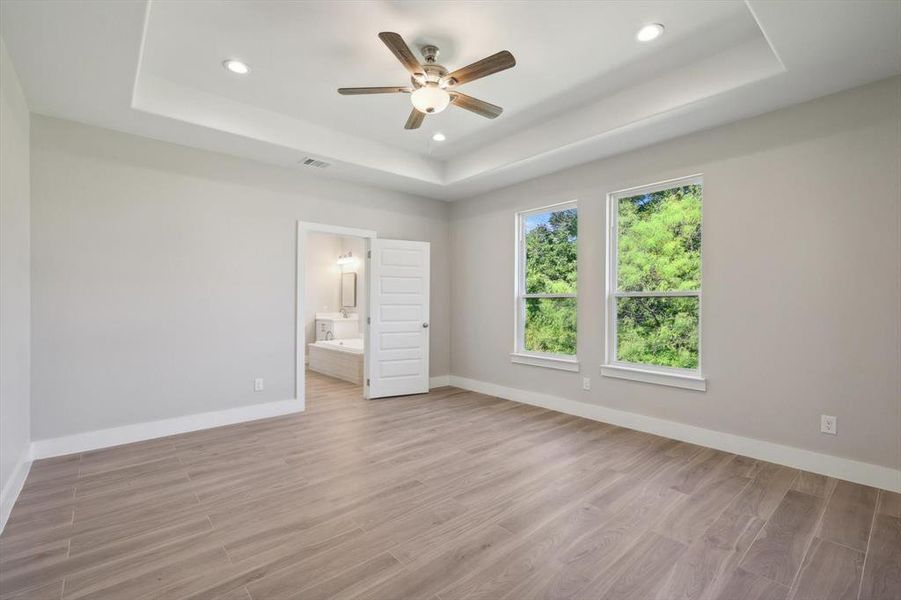 Lots of natural light with a trayed ceiling & fan