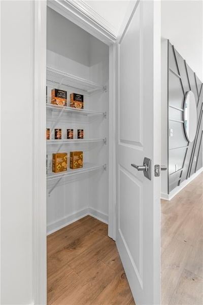 Kitchen pantry