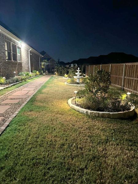 View of yard at night