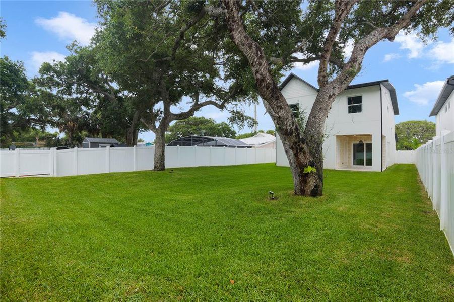 View to house from backyard.