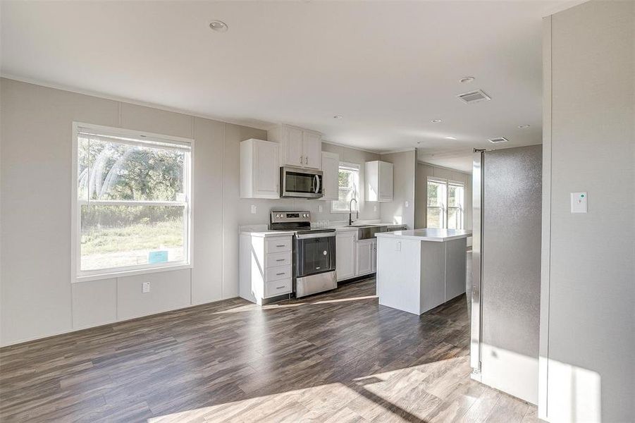 Kitchen with dark wood-type flooring, a wealth of natural light, a kitchen island, and stainless steel appliances