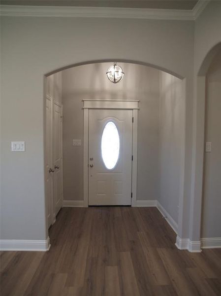 Foyer with crown molding and dark hardwood / wood-style flooring