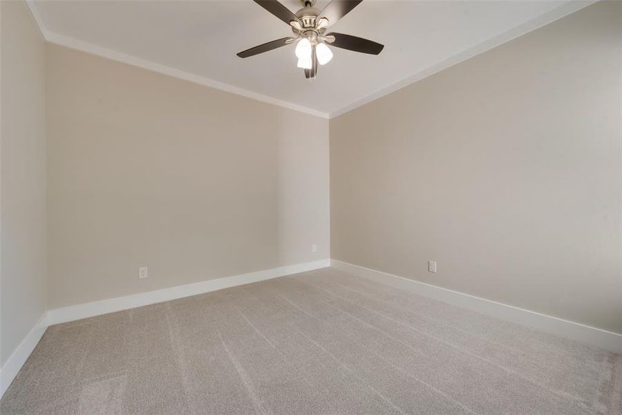 Unfurnished room with ornamental molding, carpet floors, and ceiling fan