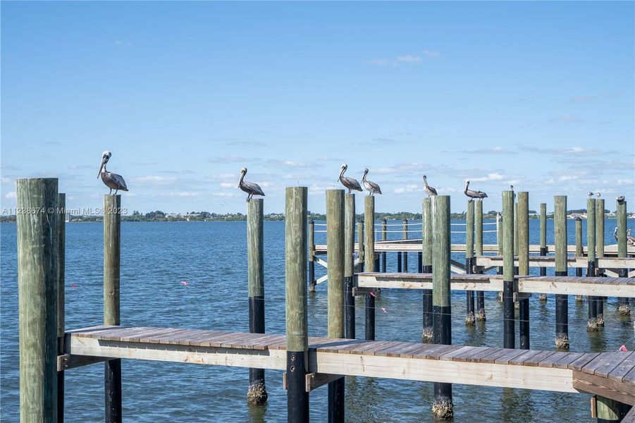 Boat Dock