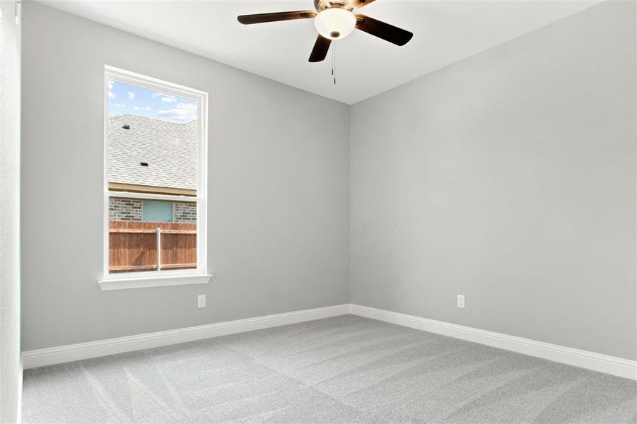 Empty room featuring a wealth of natural light, ceiling fan, and carpet flooring