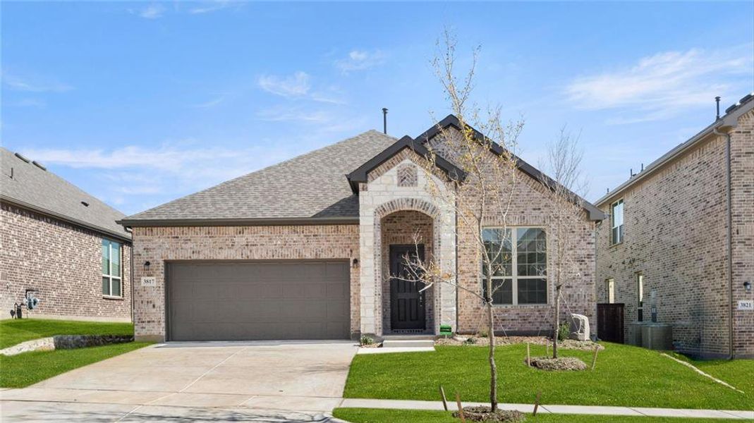 New construction Single-Family house 3727 Cherry Hills Drive, Sherman, TX 75090 Cottonwood T- photo