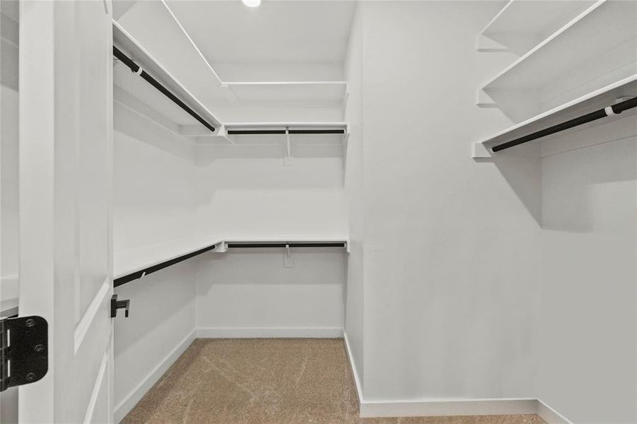 Spacious closet featuring light colored carpet