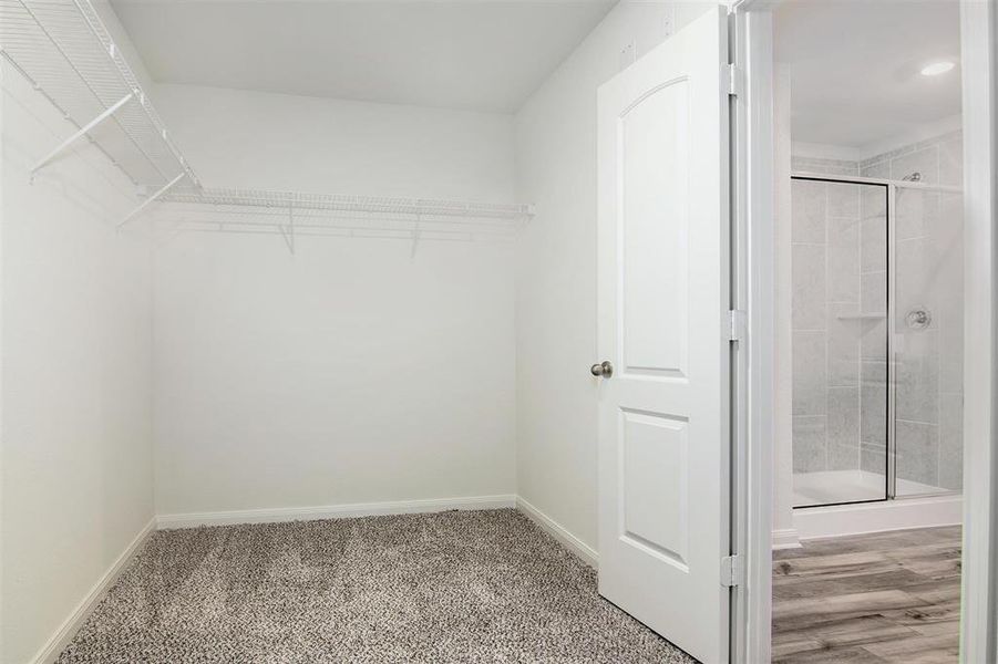 Spacious closet featuring wood-type flooring